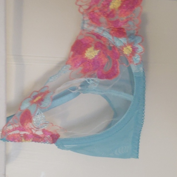 Floral Embroidery Sheer Unlined Bra Sz XL - Picture 2 of 6